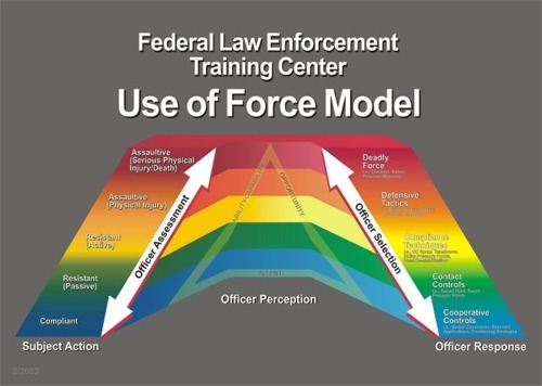 Police Force Continuum Chart